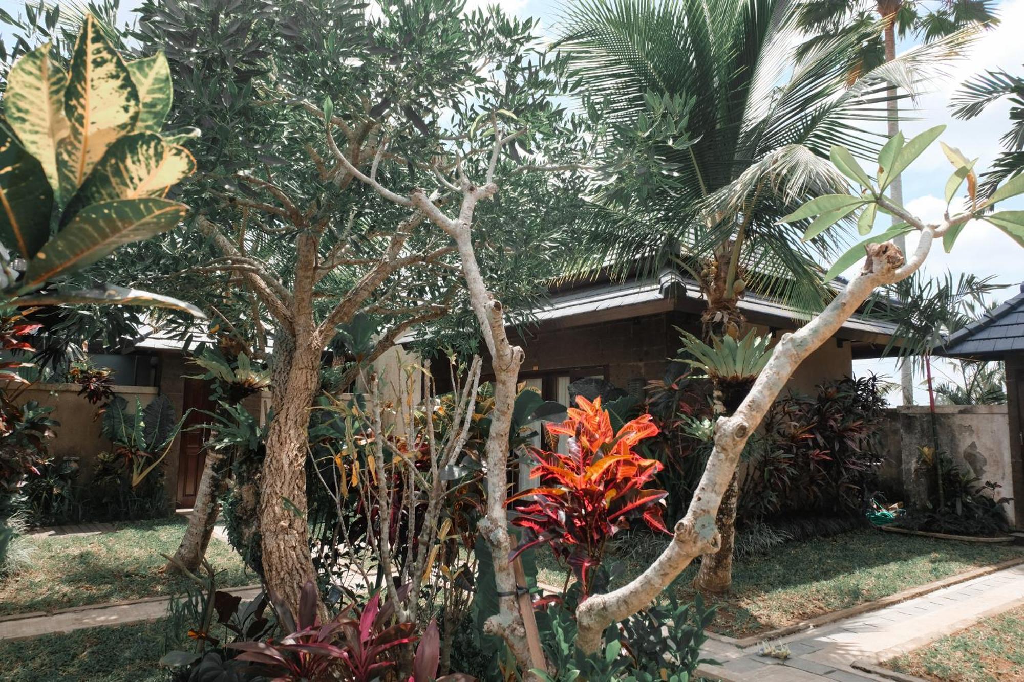 Villa Cendrawasih Ubud เตกากาลัง ภายนอก รูปภาพ